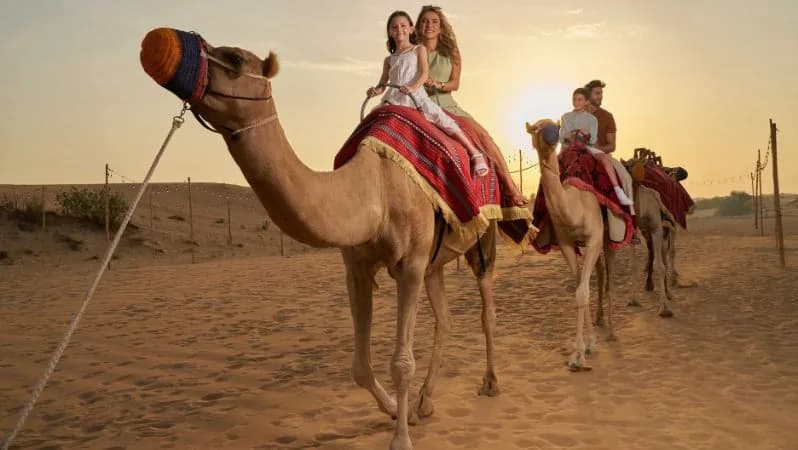 Noble Dinner Show Dubai: An Unforgettable Evening of Food & Entertainment