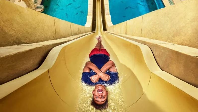 Aquaventure Water Park Dubai: Tickets, Rides & Visitor Guide
