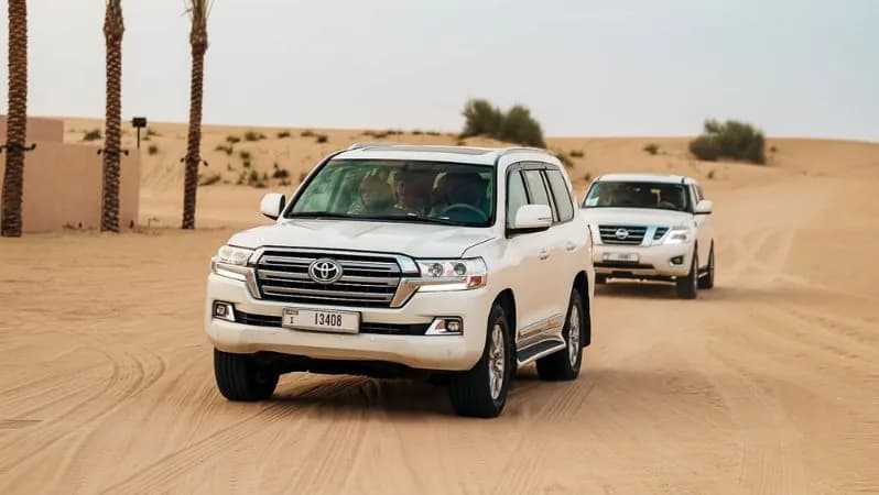 Morning Safari Dubai: Early Desert Adventure with Dunes & Camels